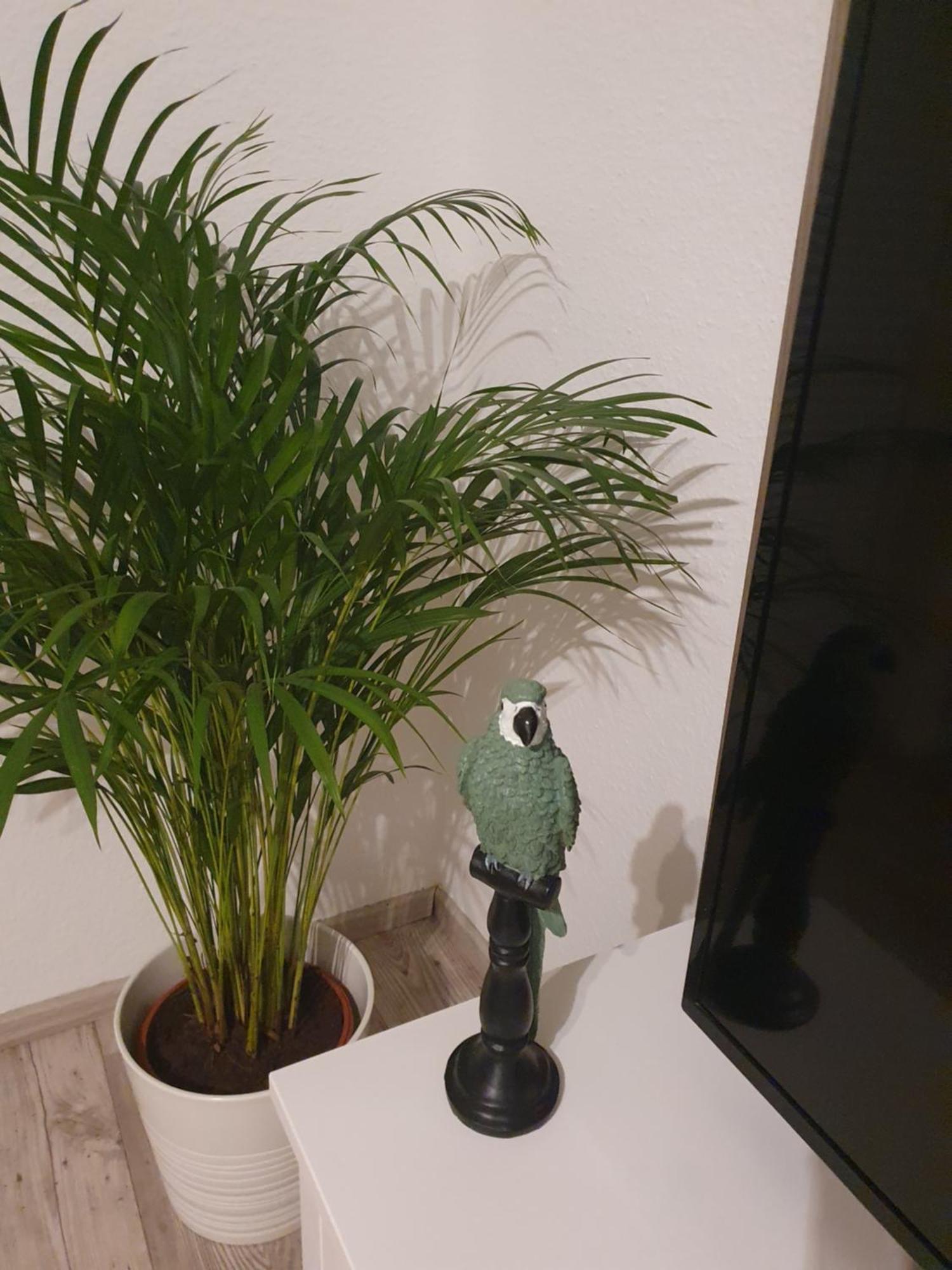 Charmante Haushaelfte Mit Garten Und Terrasse Flensburg Room photo